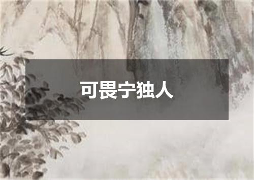 可畏宁独人