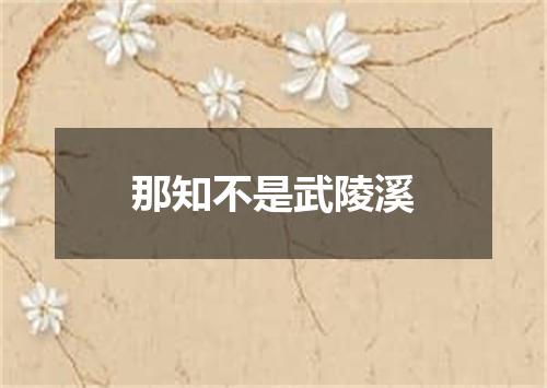 那知不是武陵溪