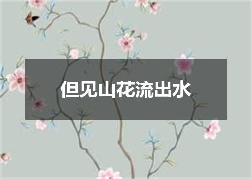 但见山花流出水