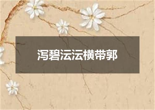 泻碧沄沄横带郭