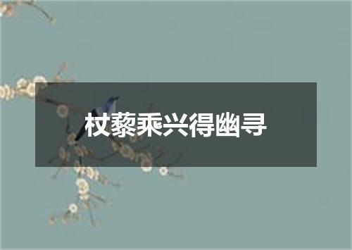 杖藜乘兴得幽寻