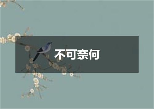 不可奈何