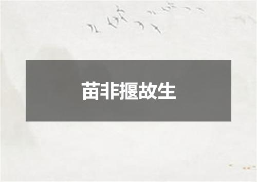 苗非揠故生