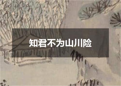 知君不为山川险