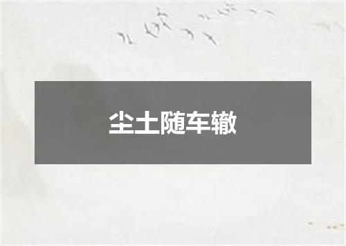 尘土随车辙