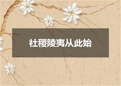 社稷陵夷从此始