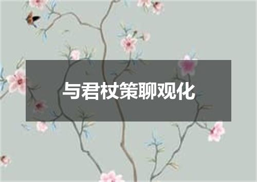 与君杖策聊观化