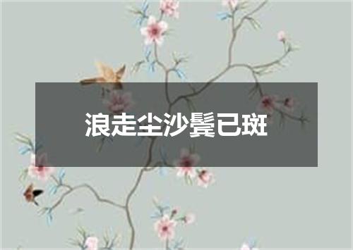 浪走尘沙鬓已斑