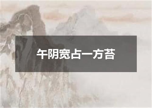 午阴宽占一方苔