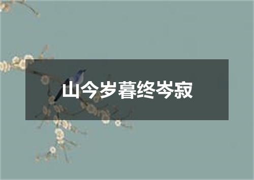 山今岁暮终岑寂