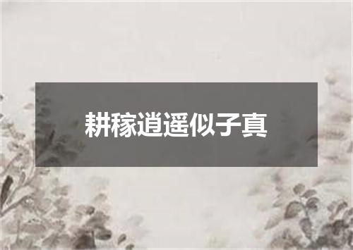 耕稼逍遥似子真