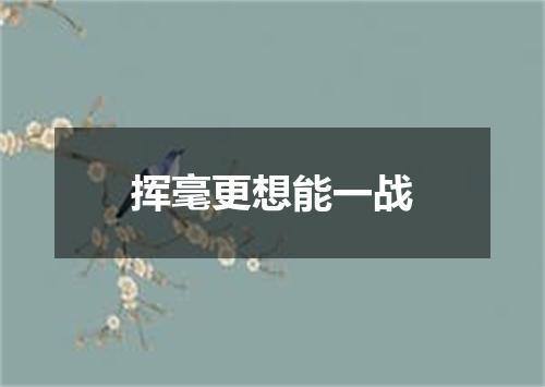 挥毫更想能一战