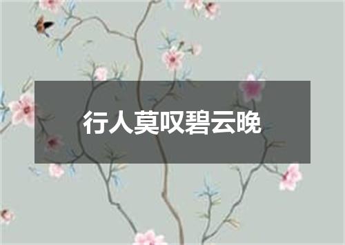 行人莫叹碧云晚