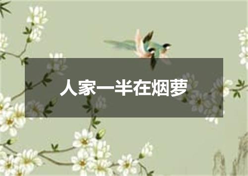 人家一半在烟萝