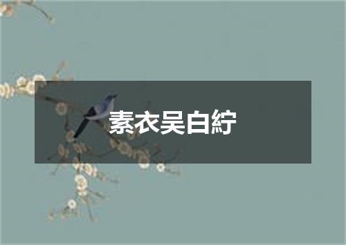 素衣吴白紵