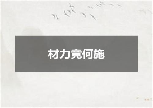 材力竟何施