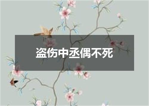 盗伤中丞偶不死