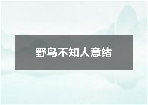 野鸟不知人意绪