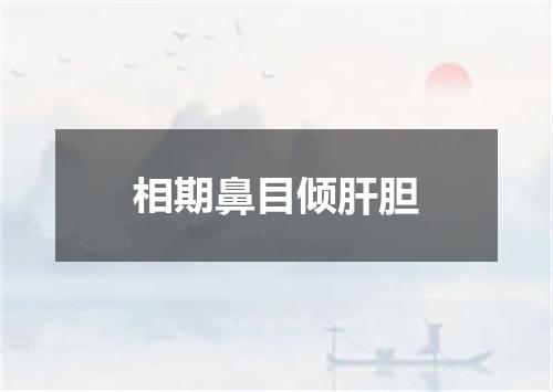 相期鼻目倾肝胆