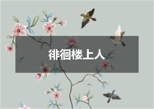 徘徊楼上人