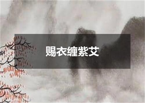 赐衣缠紫艾