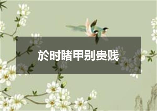 於时睹甲别贵贱
