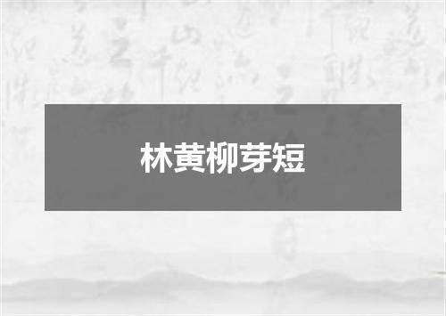 林黄柳芽短
