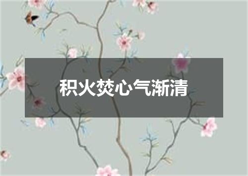 积火焚心气渐清
