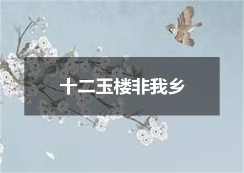 十二玉楼非我乡