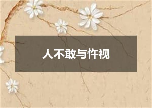 人不敢与忤视