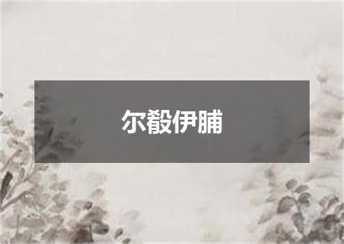 尔殽伊脯