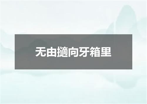 无由擿向牙箱里