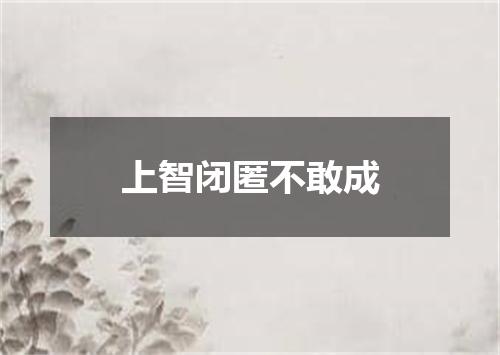 上智闭匿不敢成