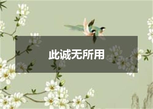 此诚无所用