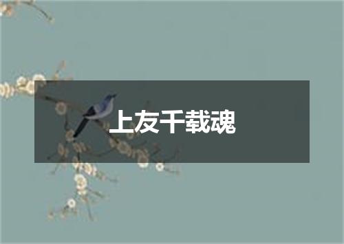 上友千载魂