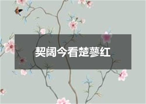 契阔今看楚蓼红