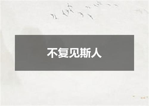 不复见斯人