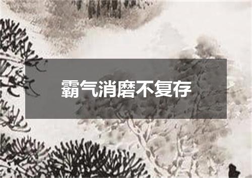 霸气消磨不复存