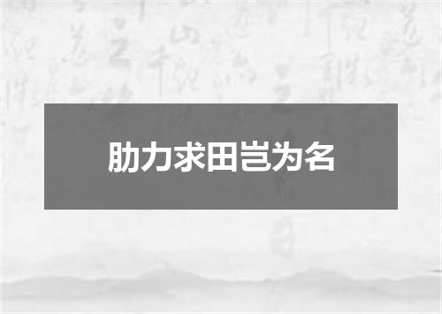 肋力求田岂为名