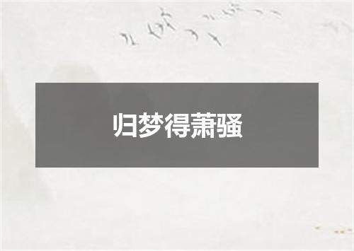 归梦得萧骚
