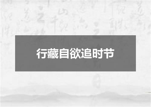 行藏自欲追时节