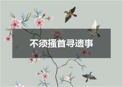 不须搔首寻遗事