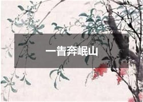 一眚奔岷山