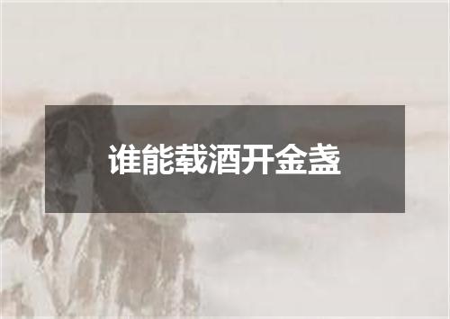 谁能载酒开金盏