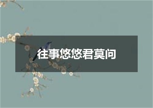 往事悠悠君莫问