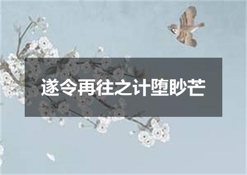 遂令再往之计堕眇芒