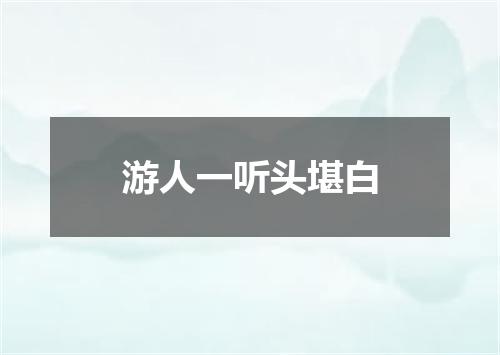 游人一听头堪白