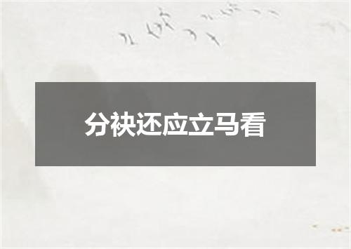 分袂还应立马看