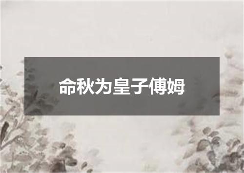 命秋为皇子傅姆