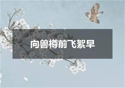 向兽樽前飞絮早